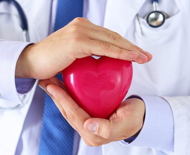 doctor hands holding a plastic heart