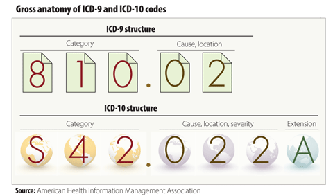 Gross Anatomy of ICD-9 and ICD-10 Codes